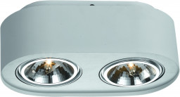 Накладной светильник ARTE Lamp A5643PL-2WH