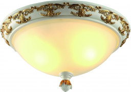 Накладной светильник ARTE Lamp A9570PL-2WG