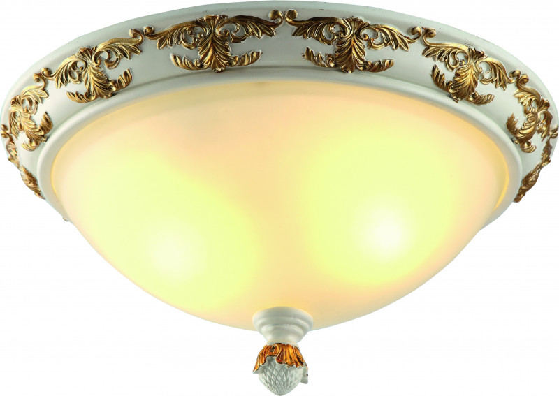 Накладной светильник ARTE Lamp A9570PL-2WG