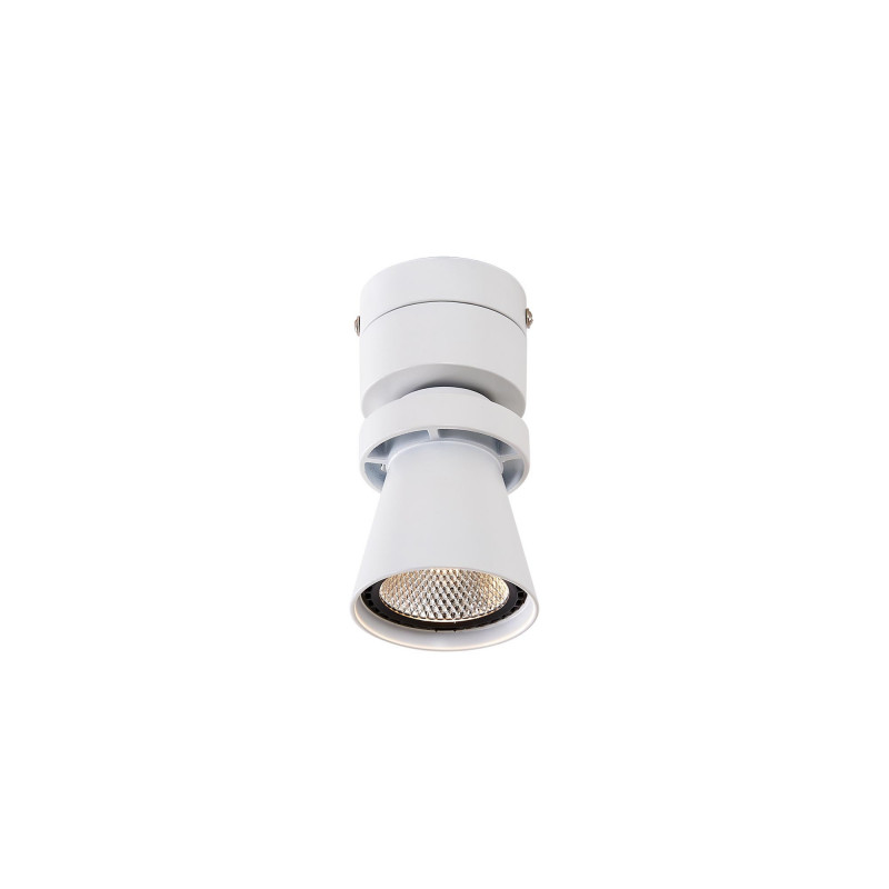 Накладной светильник Citilux CL556510 накладной светильник citilux cl918081