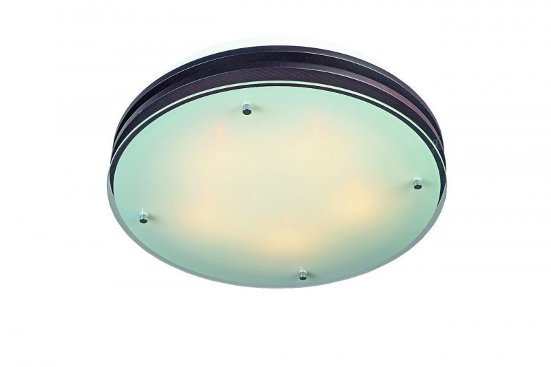 Omnilux OML-40307-05 потолочный светильник omnilux oml 40307 05