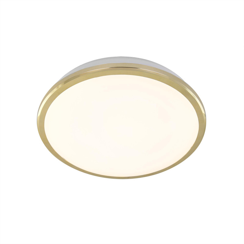 Накладной светильник Citilux CL702162W