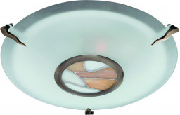 Накладной светильник ARTE Lamp A7895PL-2AB