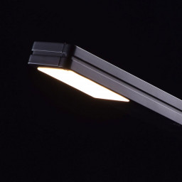 Настольная лампа MW-Light 631032001