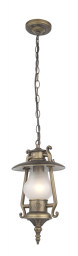 Подвесной уличный светильник Favourite 1496-1P