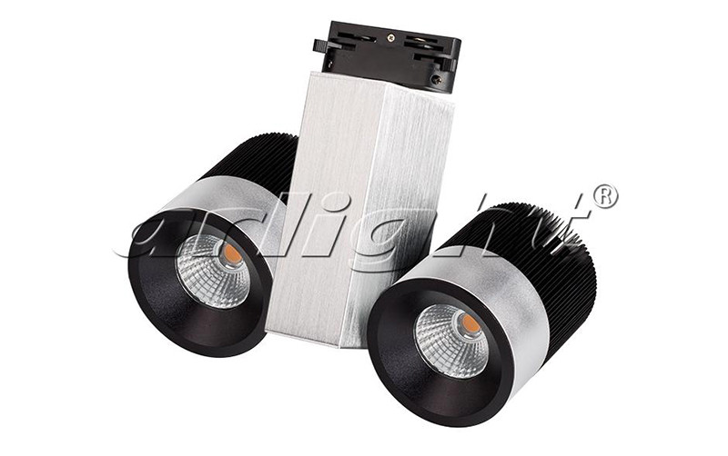 Фото Arlight Светодиодный светильник LGD-2238SB-2x15W White 24deg. Купить с доставкой