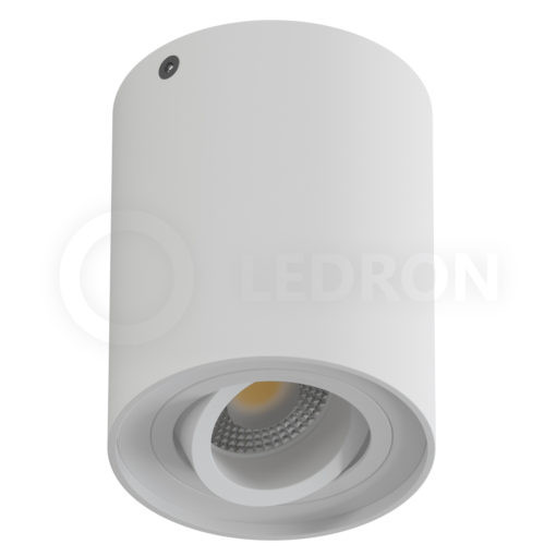 

Накладной светильник LeDron HDL5600 White, HDL5600 White