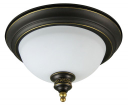 Накладной светильник ARTE Lamp A9518PL-2BA