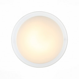 Накладной светильник ST-Luce SL466.512.01