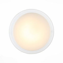 Накладной светильник ST-Luce SL466.512.01