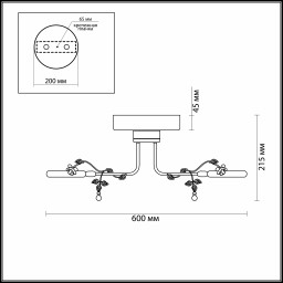 Накладная люстра Odeon Light 4036/48L