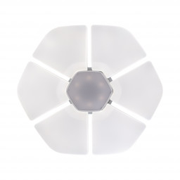 Накладной светильник IDLamp 305/80PF-LEDWhite