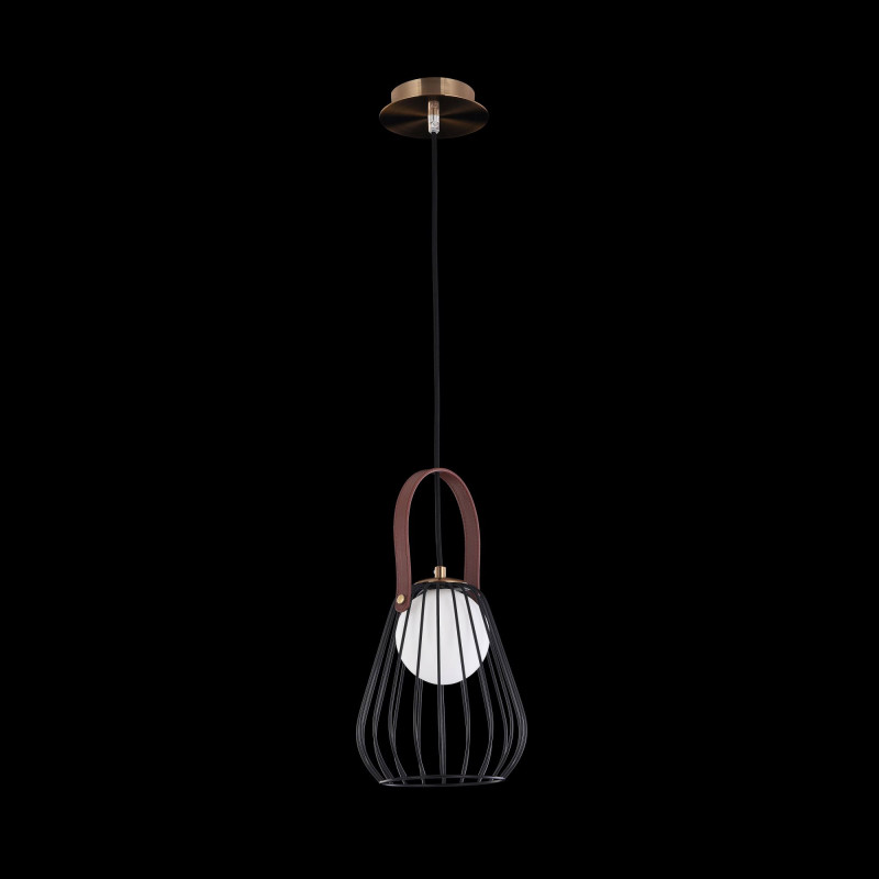 Фото Maytoni MOD544PL-01B. Купить с доставкой