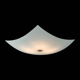 Накладной светильник Citilux CL931011