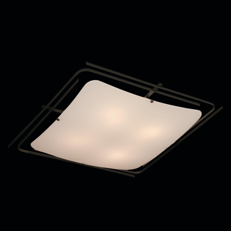 Накладной светильник Citilux CL939401
