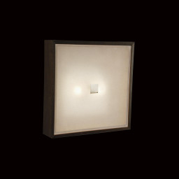 Накладной светильник Citilux CL940311