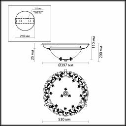 Накладная люстра Odeon Light 2796/3C