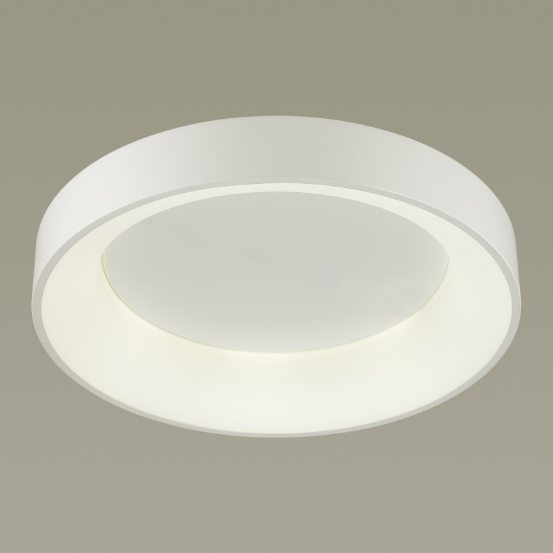 Накладной светильник Odeon Light 4062/50CL