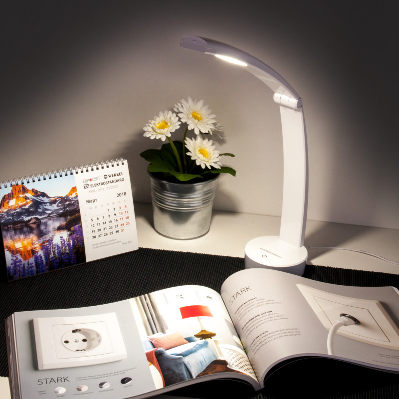 Настольная лампа Elektrostandard Rizar белый (TL90500)