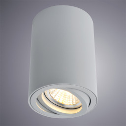 Накладной светильник ARTE Lamp A1560PL-1GY