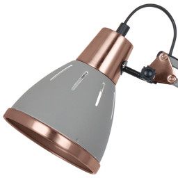 Настольная лампа ARTE Lamp A2246LT-1GY