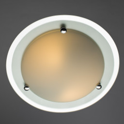 Накладной светильник ARTE Lamp A4831PL-2CC
