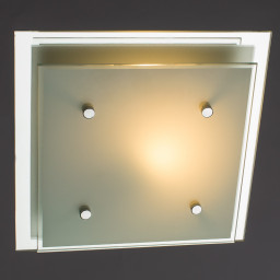 Накладной светильник ARTE Lamp A4868PL-1CC