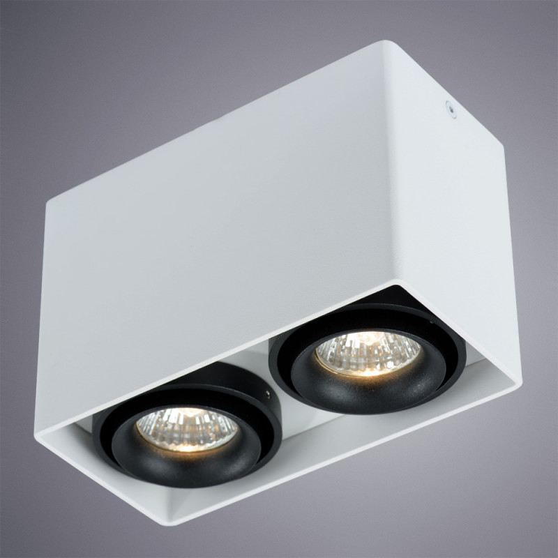 Накладной светильник ARTE Lamp A5655PL-2WH