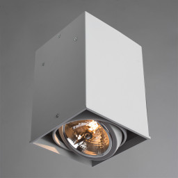 Накладной светильник ARTE Lamp A5936PL-1WH