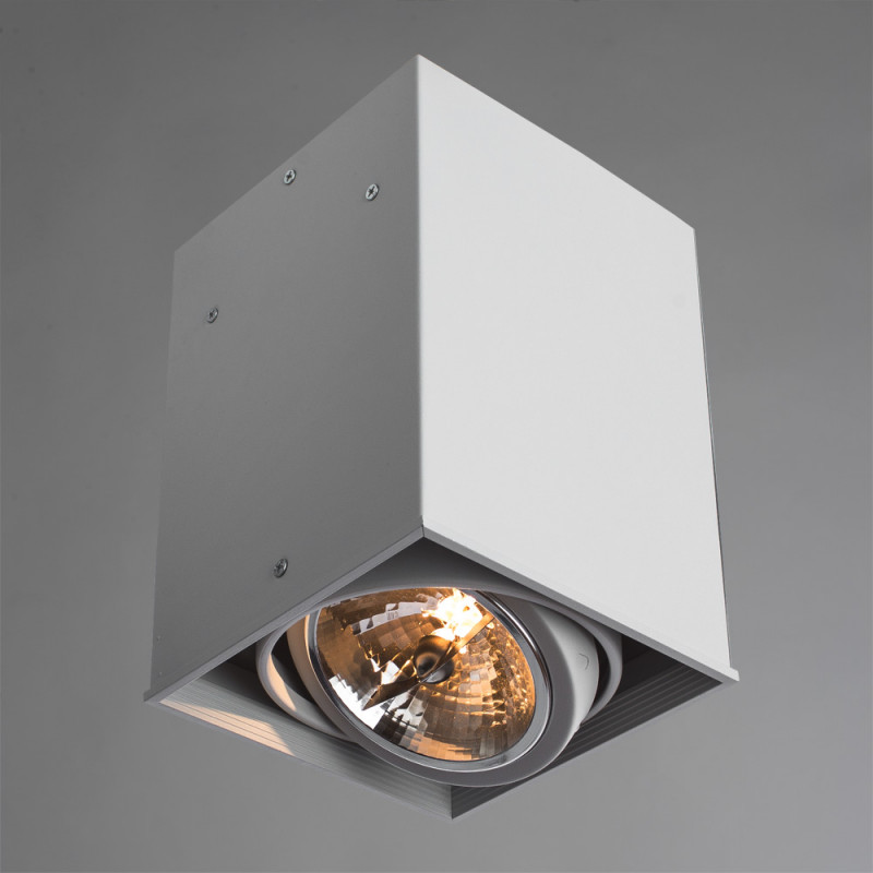 Накладной светильник ARTE Lamp A5936PL-1WH