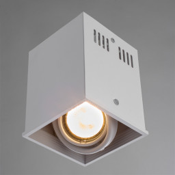 Накладной светильник ARTE Lamp A5942PL-1WH