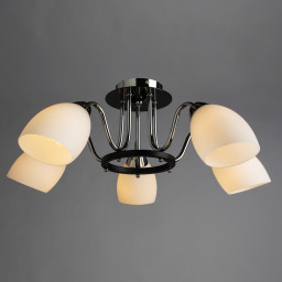 Накладная люстра ARTE Lamp A7144PL-5BK