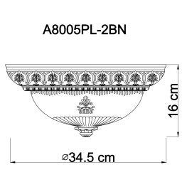 Накладной светильник ARTE Lamp A8005PL-2BN