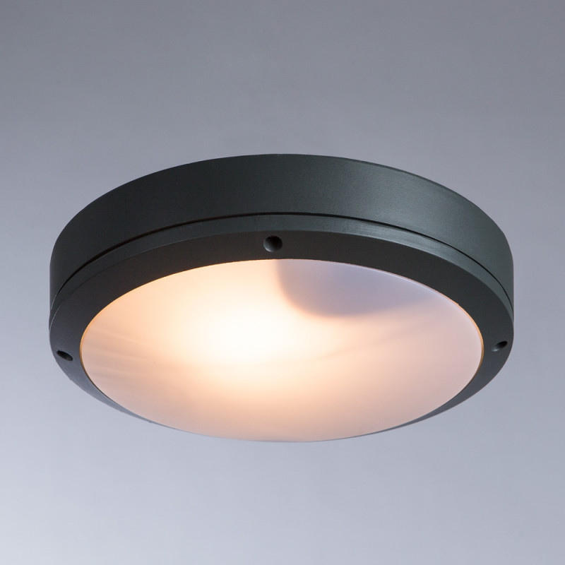 Накладной уличный светильник ARTE Lamp A8154PF-2GY