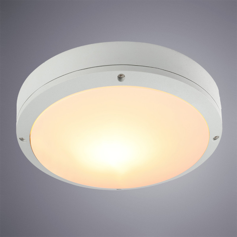 Накладной уличный светильник ARTE Lamp A8154PF-2WH
