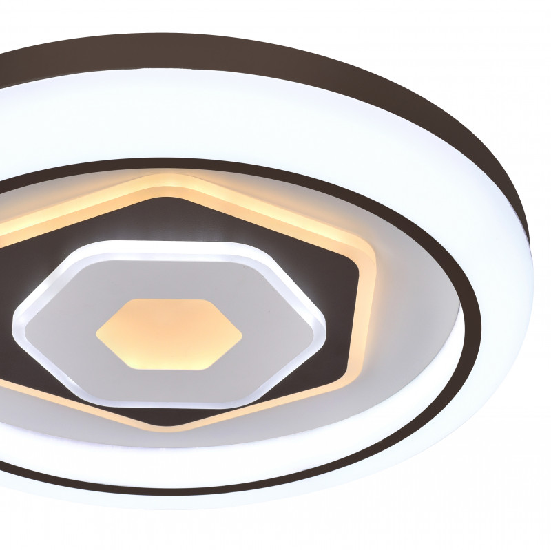 Накладной светильник F-Promo 2456-5C