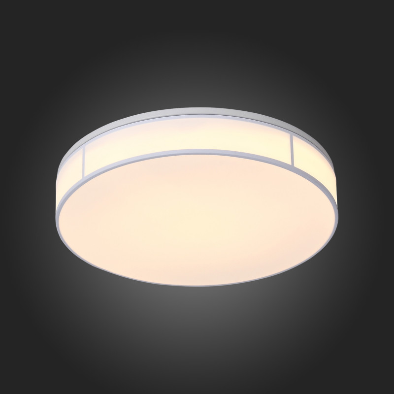 Накладной светильник ST-Luce SL417.502.01