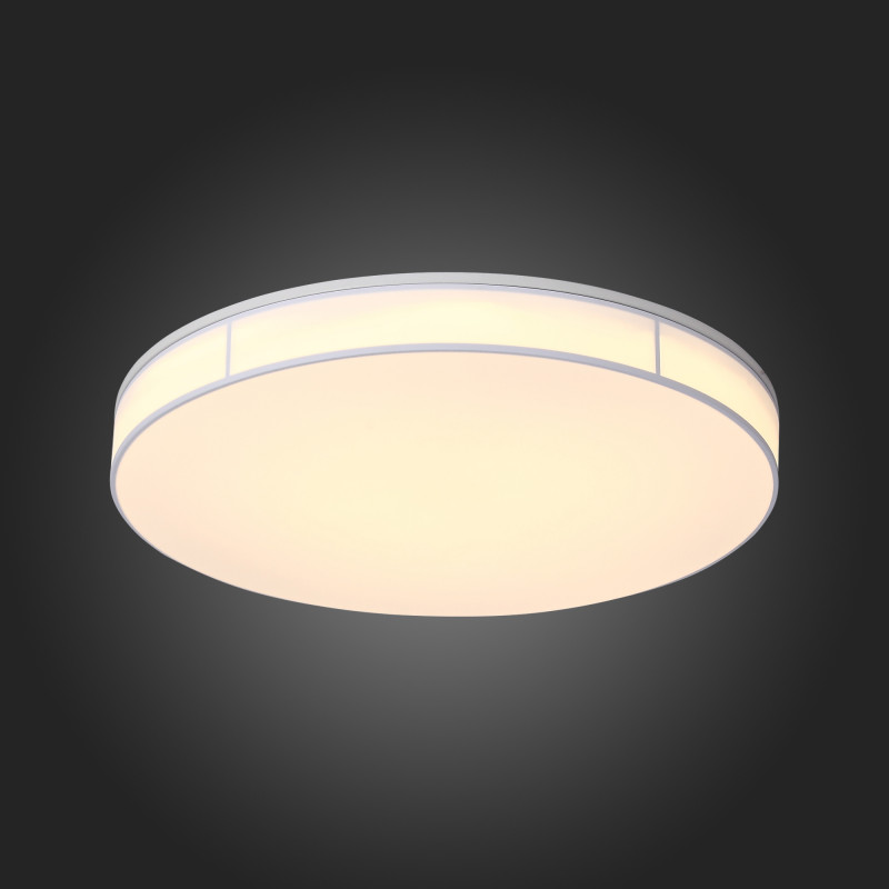 Накладной светильник ST-Luce SL417.512.01