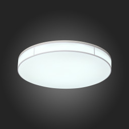 Накладной светильник ST-Luce SL417.512.01