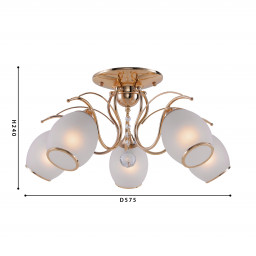 Накладная люстра F-Promo 2445-5U