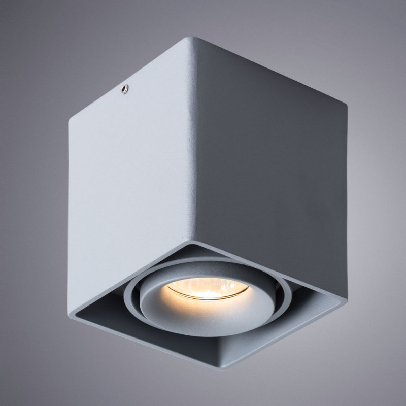 Накладной светильник ARTE Lamp A5654PL-1GY