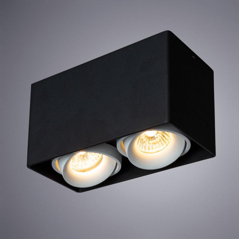 Накладной светильник ARTE Lamp A5654PL-2BK