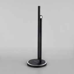 Настольная лампа Elektrostandard Vara черный (TL70990)