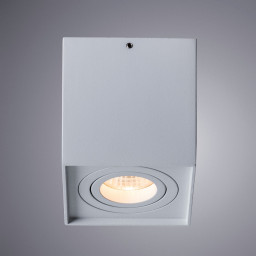 Накладной светильник ARTE Lamp A5544PL-1WH