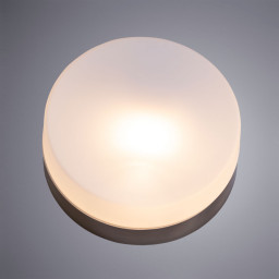 Накладной светильник ARTE Lamp A6047PL-1AB