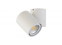 Накладной светильник Donolux A1594White/RAL9003
