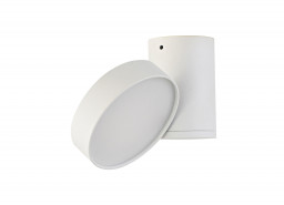Накладной светильник Donolux DL18811/15W White R Dim