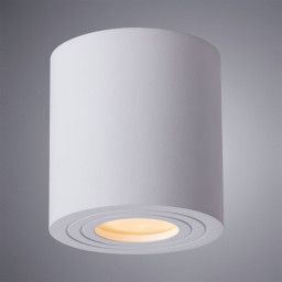 Влагозащищенный светильник ARTE Lamp A1460PL-1WH