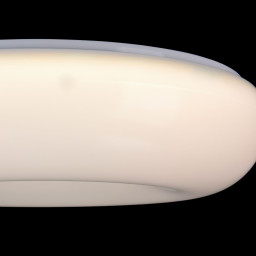Накладной светильник Maytoni MOD362-CL-01-60W-W