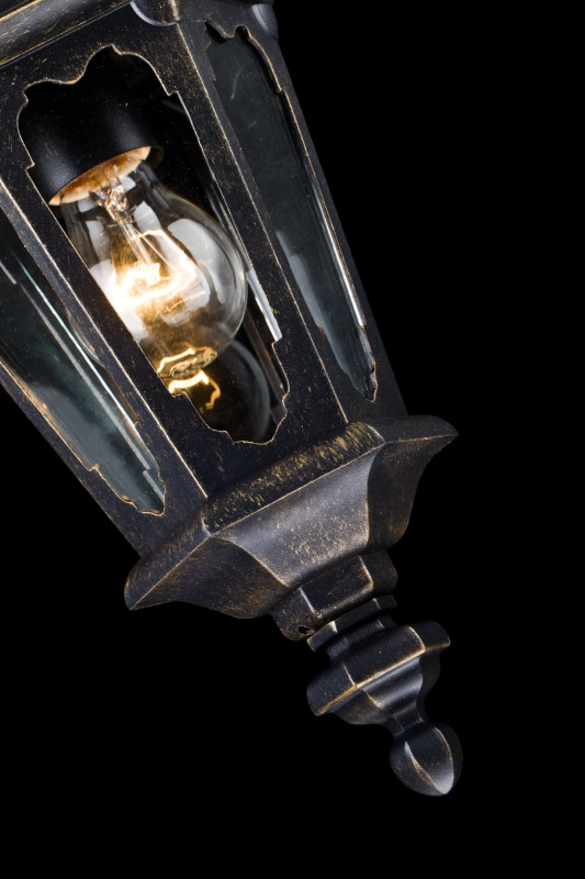 Подвесной уличный светильник Maytoni S101-10-41-R